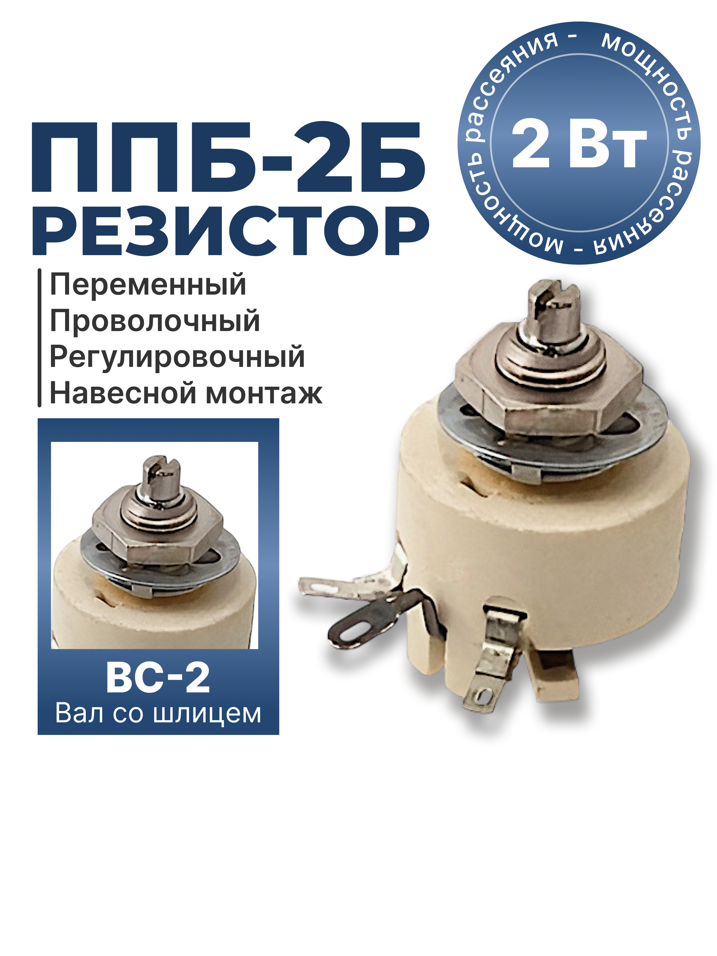ППБ-2Б-2Вт-100 ОМ-10% (ВС-2-12,5) 93г