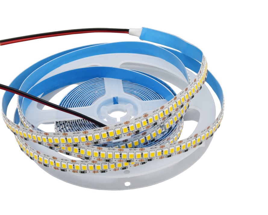    5.  SMD2835 (240LED/) 12VDC  , 19 / (CFS2835WW)